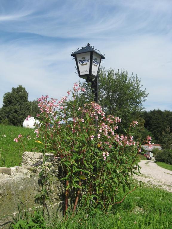 Gasthof Pension Steinberger Sankt Georgen im Attergau Extérieur photo
